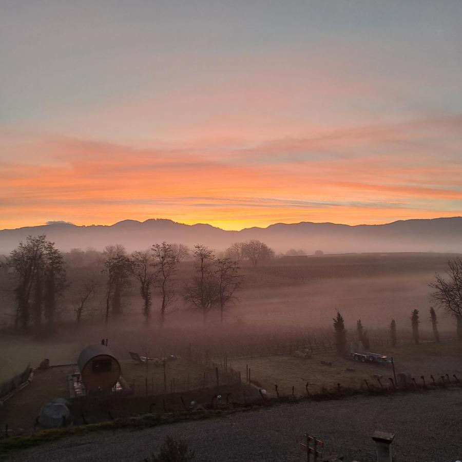 Ferienwohnung Castellberg Heitersheim Eksteriør billede