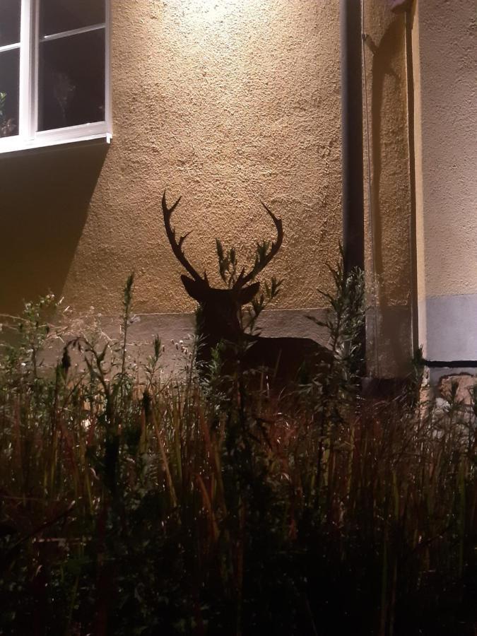 Ferienwohnung Castellberg Heitersheim Eksteriør billede