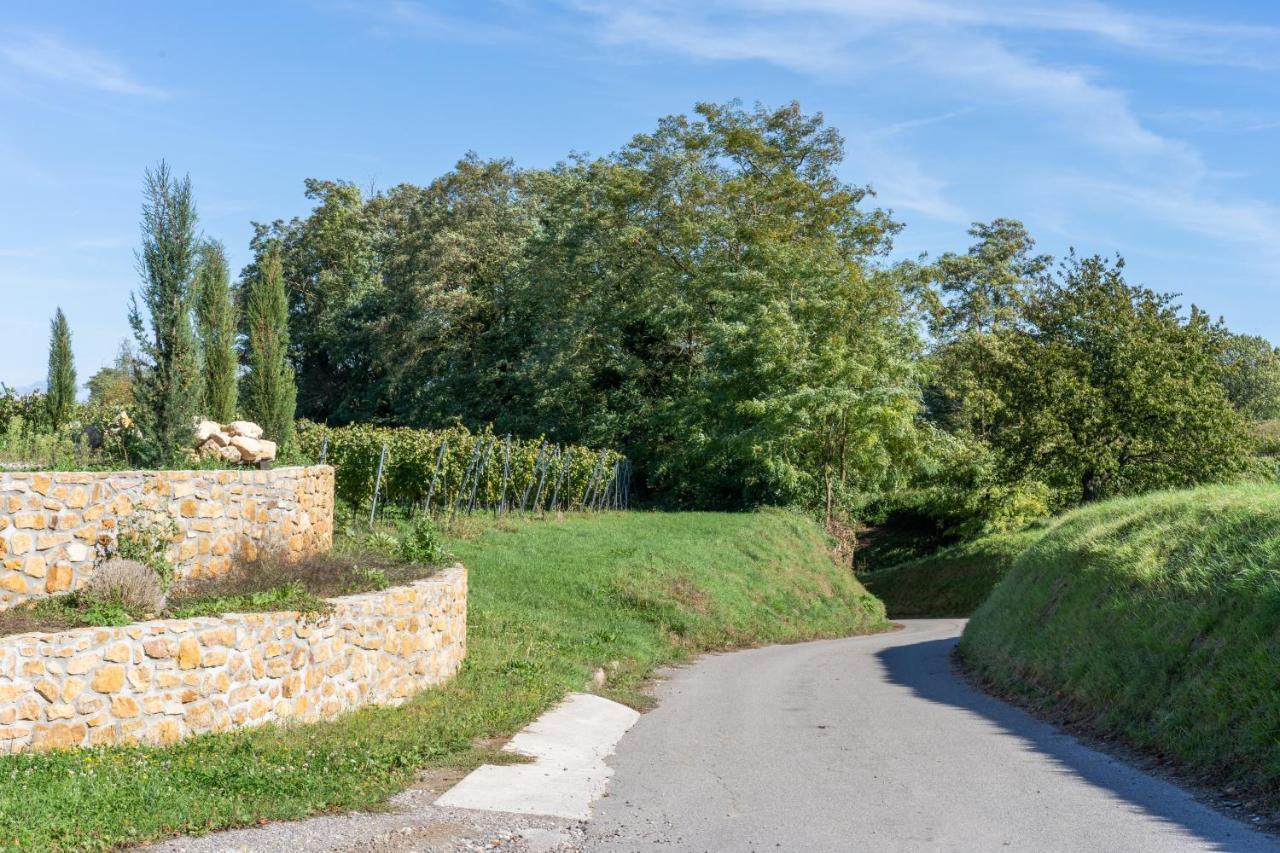 Ferienwohnung Castellberg Heitersheim Eksteriør billede